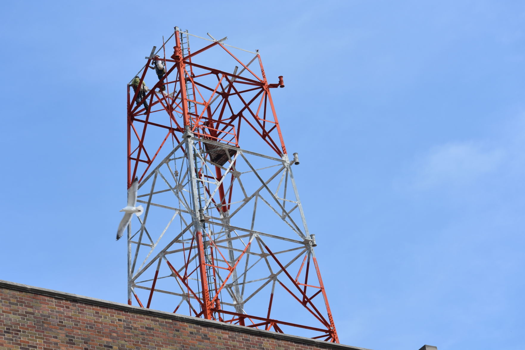 A towering job: Crews dismantle phone tower